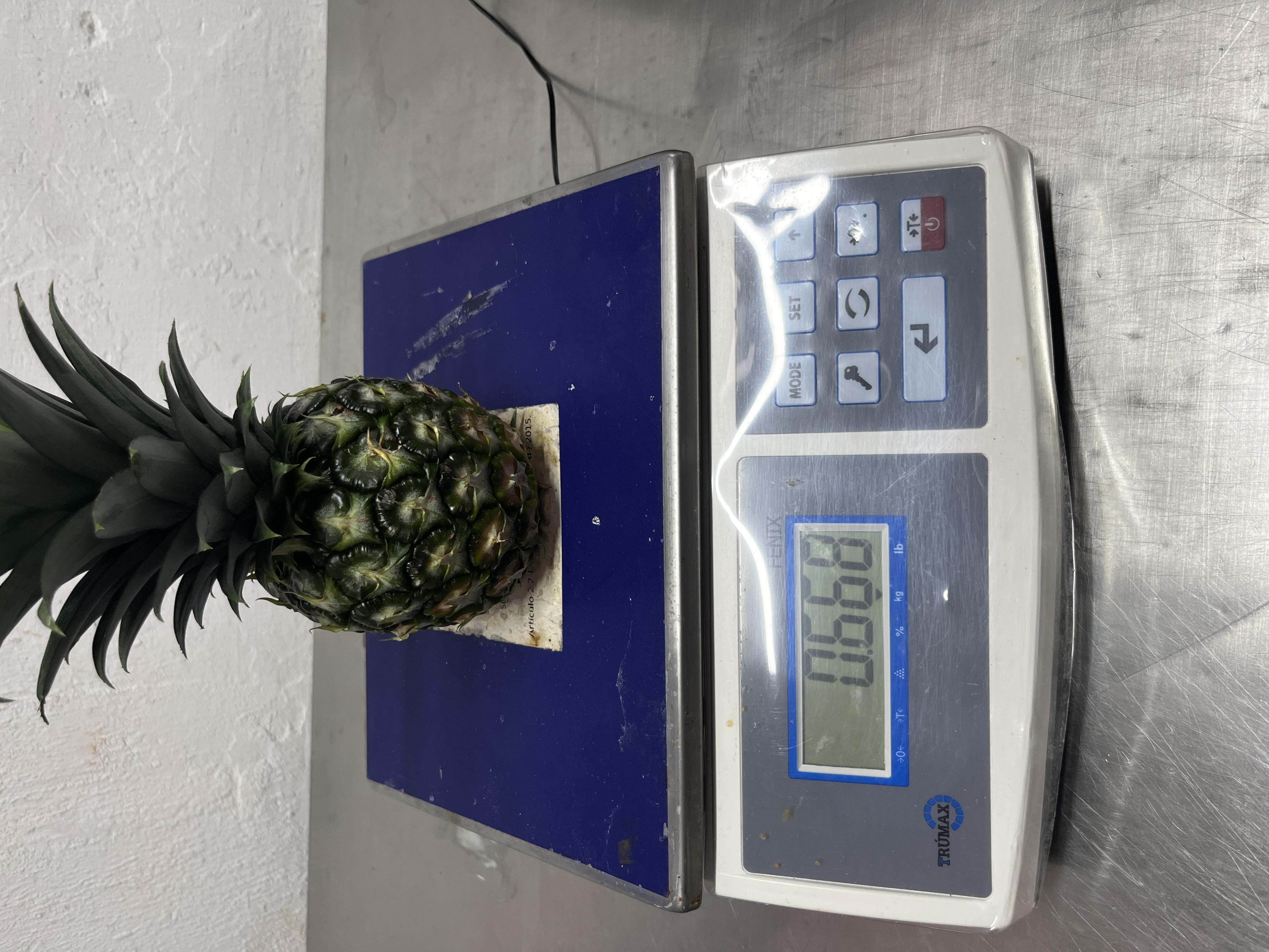 Pulpa de fruta Dorado División